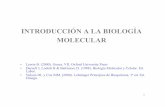 INTRODUCCIÓN A LA BIOLOGÍA MOLECULAR - …sgpwe.izt.uam.mx/files/users/uami/pacopp/INTRODUCCION.pdf · 2016-09-24 · INTRODUCCIÓN A LA BIOLOGÍA MOLECULAR • Lewin B. (2000).