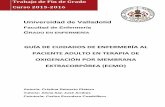 GUÍA DE CUIDADOS DE ENFERMERÍA AL …uvadoc.uva.es/bitstream/10324/18028/1/TFG-H505.pdf · afectado, o como mantenimiento de la estabilidad hemodinámica del paciente hasta el trasplante