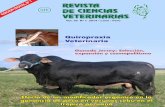 Quiropraxia Veterinaria - Colegio Médico Veterinario de ... · de emprendimientos rurales en hogares rurales de extre-ma pobreza que contribuyan a la generación y ... tores pecuarios
