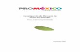 Investigacion de Mercado del NOPAL rev9 - Elqui …elquiglobalenergy.com/espanol/datos/Investigacion_de_mercado_nopal... · Investigación de Mercado del Nopal Comestible Fresco,