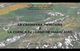 Diapositiva 1 · Cecropia telenitida Cecropiacaea Cana de la ... Resistente a la sequía y de vida larga Hoyos, 1994 pag. ... Diapositiva 1 Author: Ellian Rubina ...