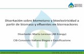 Disertación sobre biometano y bioelectricidad a partir … EEA INTA, 18,19 y 20 de Julio de 2012 Disertación sobre biometano y bioelectricidad a partir de biomasa y efluentes en