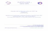 FLIPYFLUX® GDV-EPC - in-torus.comin-torus.com/wp-content/uploads/2016/07/Estudio-GDV-FlipyFlux... · Este último informa del equilibrio entre pares de opuestos: nivel emocional-nivel