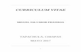 CCUURRRRIICCUULLUUMM VVIITTAAEE - …biociencias.unach.mx/IBCUNACH/personal/profesores/CV-Salvador.pdf · Comisiones de pares Académicos Externos (CPAE)”, 9 de septiembre de 2016.