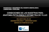 CONDICIONES DE LAS MUESTRAS PARA ANATOMIA PATOLOGICA Y ...sph-peru.org/wp-content/uploads/2016/01/CONDICIONES-DE-LAS... · • bazo y timo, Las muestras provenientes de sangre periférica