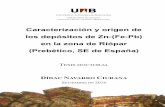 Caracterización y origen de Pb) en la zona de Riópar ... · Caracterización y origen de los depósitos de Zn-(Fe-Pb) en la zona de Riópar (Prebético, SE de España) TESIS DOCTORAL