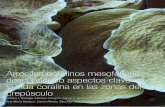 Arrecifes coralinos mesofóticos: descubriendo aspectos …hipotesis.uniandes.edu.co/hipotesis/images/stories/ed18pdf/... · Arrecifes coralinos mesofóticos: descubriendo aspectos