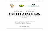 EL CULTIVO DE LA SHIRINGA - inkanat.org · cultivo de la shiringa, considerando el enfoque agroforestal como modelo de manejo del cultivo. ... La fitomasa acumulada, por el cultivo