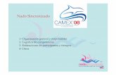 CAMEX NadoSincro organización - FECONA · - Inauguración y clausura - Sonido - Facilidades de alimentación para atletas - Transporte - Reglas de comportamiento - Informativo para