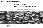 SEMILlAS - mapama.gob.es · En el cultivo hortíc^>la, la buena calidad de las semillas es un ... por el rendimiento en peso de la cosecha ... productos al g^usto del mer-cado lejano