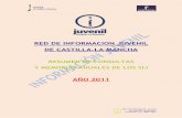 RED DE INFORMACION JUVENIL DE CASTILLA-LA MANCHAportaljovenclm.com/documentos/PIJCIJ_2/INFORMEDEF... · La demanda de información juvenil en los S.I.J. de Castilla-La Mancha, según