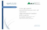 Los grupos económicos en el sector agroexportador … Agro.pdf · empresa Peru Top Publications. ... El grupo Dyer & Coriat, más conocido como D&C opera en los sectores agroindustrial,