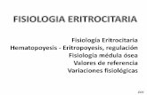 Fisiología Eritrocitaria Hematopoyesis - Eritropoyesis ...ecaths1.s3.amazonaws.com/fisiologiafacena/94056644.ERITROPOYESI… · Fisiología Eritrocitaria Hematopoyesis - Eritropoyesis,