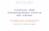 Cultivo del Champiñón Ostra En Chile - biomicel.com · Micotec Ltda. – Editores 4 El champiñón ostra es un hongo que fructifica formando grupos de carpóforos sobre el sustrato