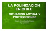 LA POLINIZACION EN CHILE - rapelfrut.clrapelfrut.cl/pdf/polinizacionenchile.pdf · arandanos 1.360 6 8.160 frambuesas 4.530 6 27.180 total 108.405 858.080. cuadro 2. otros cultivos