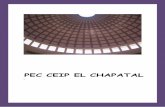 PEC CEIP EL CHAPATAL - Gobierno de Canarias · PEC CEIP EL CHAPATAL [ ... Documentos anexos . 1. INTRODUCCIÓN ... padres y madres y del alumnado, la junta de delegados y, en su caso,