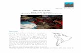 ESTUDIO DE CASO Jatun Ayllu Kirkiawi: Identidad ...porlatierra.org/docs/9b6344c1c02fa39d1d172ab009e56e04.pdf · de Tacopaya, al Noreste con el municipio de Arque, al Este con el municipio