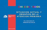 CHILE DE TODOS - politicaspublicas.uc.cl · incentivo al desempeÑo de medicos familiares . 3.- asegurar un marco normativo (eapsm), incluyendo en ... medicamentos (fondo de farmacia)