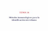 TEMA 14 Métodos inmunológicos para la identificación ...asignatura.us.es/mbclinica/docs/recursos/12/tema-14.pdf · 1. Introducción Antígenos y anticuerpos son complementarios