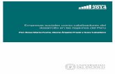 Empresas sociales como catalizadores del desarrollo en las ...agenda2014.pe/publicaciones/agenda2014-empresas... · desarrollo en las regiones del Perú Por: Rosa María Fuchs, María