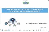 RESPUESTA EN CHILE MANZANO A LA …comeii.com/comeii2017/assets/documentos/ponencias/presentacion/... · En la diversidad de chiles cultivados, el chile manzano (Capsicum pubescens