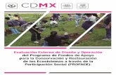 Evaluación Externa de Diseño y Operación del …evalua.cdmx.gob.mx/storage/app/media/uploaded-files/files/... · Ley General de Desarrollo Forestal Sustentable ... Líneas de Apoyo