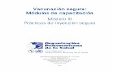 Modulo III - Prácticas de inyección seguracampusvirtual.ssaver.gob.mx/wp-content/uploads/2015/10/3-ModuloVa… · ro y, debido a su valor comercial, se reutiliza, ... para la erradicación