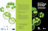 Objetivo Biotecnología de las Algas - itccanarias.org CURSO... · Objetivo El curso presentará el estado actual y perspec-tivas futuras de la Producción Industrial de las algas