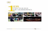 PRIMER INFORME - sideso.cdmx.gob.mx · Subsecretaría de Coordinación de Planes y Programas Preventivos. En fecha 8 de julio de 2011 se publicó en la Gaceta del Distrito Federal