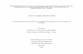 DETERMINACIÓN DE Listeria monocytogenes EN …repository.ut.edu.co/bitstream/001/1581/1/DETERMINACIÓN DE... · relacionadas con la presentación de tesis y trabajos de ... A la