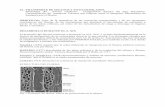 22.- TRANSPORTE DE SOLUTOS Y … de Solutos.pdf · el estudio del floema, y ... Permite una mejor compresión de las relaciones metabólicas entre las diferentes partes ... Fig..