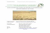 CENTRO PARA EL DESARROLLO SOSTENIBLE - Monografias.com · plantas silvestres, resulta conveniente actualizar la categorización de especies amenazadas en el Perú. En este contexto
