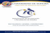 UNIVERSIDAD DE SONORA - incorporadas.unison.mx · cursar el bachillerato, mejorar la calidad de la formación de los profesores y formadores, abrir la ... nivel de enseñanza en materia