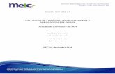 DIEM- INF-053-14reventazon.meic.go.cr/informacion/estudios/2014/Arrroz/modelos.pdf · diseñada por la presente administración para el mercado del arroz, para lo cual se ... del