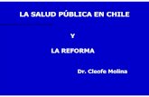 LA SALUD PÚBLICA EN CHILE - disaster-info.net · desarrollos institucionales (Estado y sector) ... Participación de los ciudadanos en salud 10.Desarrollo de políticas y capacidad