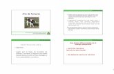 Cría de terneras - :: Sitio web del Departamento de ...prodanimal.fagro.edu.uy/cursos/PRODUCCION LECHERA... · Constituyentes de la leche y del calostro bovino en porcentaje PROTEÍNAS