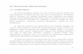 III.- GEOLOGIA DEL AREA DE ESTUDIO. 3.1.- …tesis.uson.mx/digital/tesis/docs/21733/Capitulo3.pdf · detrítico carbonatada de plataforma que aflora en la Sierra Martínez, Cerro