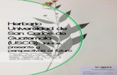 Herbario Universidad de San Carlos de Guatemala …sitios.usac.edu.gt/admin_revindex/articulos/editor7-r98_pi10_pfi17... · se encuentran: Ava Nury Díaz, Julio Morales Can, Pedro