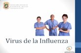 La Enfermedad de Influenza - salud.gov.pr - Enfermeros.pdf · Virus de la Influenza Los tipos de Influenza asociadas a epidemias, hospitalizaciones y muertes son: Influenza A e Influenza