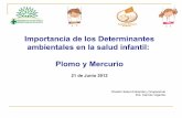 Importancia de los Determinantes ambientales en la … · Plomo y Mercurio 21 de Junio 2012 ... Entrenamiento para el manejo de residuos A mediano plazo Reducir el uso innecesario