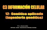 J. L. Sánchez Guillén IES Pando - Oviedo …cosmolinux.no-ip.org/recursos_aula/BIO1erBAT/Enginyeria_genetica/... · ... al hombre y a la mujer les ha interesado manipular ... especies