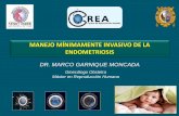 MANEJO MÍNIMAMENTE INVASIVO DE LA ENDOMETRIOSISmarcogarnique.com/...minimamente-invasivo-de-la-endometriosis.pdf · MANEJO MÍNIMAMENTE INVASIVO DE LA ENDOMETRIOSIS Ginecólogo Obstetra