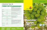 Basfoliar - compo-expert.com · Como Basfoliar® Size SL contiene 350 veces más auxinas que citoquininas, su efecto secundario en aplicaciones foliares es la formación de nuevas