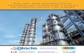 ROL DEL GAS NATURAL EN EL DESARROLLO ... - …bivica.org/upload/gas-natural-rol.pdf · Rol del gas natural en el desarrollo económico y social de América Latina ... el sector hidrocarburos.
