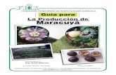 Gu™a Cultvo Maracuya 3 - Seguridad Alimentaria y ...santic.rds.hn/.../uploads/2013/06/Guia-la-produccion-de-Maracuya.pdf · Gu™a para el cultivo de maracuya C O N T E N I D O