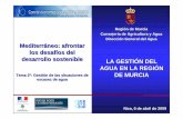 Copia de INTERNET2 · Niza, 6 de abril de 2009 Región de Murcia Consejería de Agricultura y Agua Dirección General del Agua Mediterráneo: afrontar los desafíos del