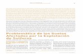 de Sulfuros - ehu.eus · revista de la sociedad española de mineralogía Problemática de los Suelos Afectados por la Explotación ... que intervienen han sido estudiados ampliamente