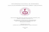 UNIVERSIDAD NACIONAL DE INGENIERIA - …cybertesis.uni.edu.pe/bitstream/uni/11401/1/magallanes_cc.pdf · ... los cuales son explotados mediante los método de s ... típico de la