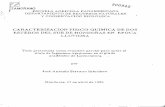 Caracterizacion fisico-quimica de dos esteros del sur .CARACTERIZACION FISICO-QUIMICA DE DOS
