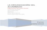 LA ORGANIZACIÓN DEL ALUMNADO - files.kit-del …files.kit-del-docente.webnode.es/200000332-5c1cc5d150/3.1... · académicas propias pero similares (por ser de la misma edad) en grupos